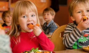 Pre-K Student Meal Plans